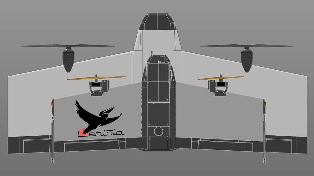 Delivery drone schematic, standard size and larger model